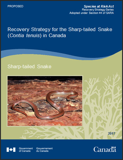 Recovery Strategy for the Sharp-tailed Snake