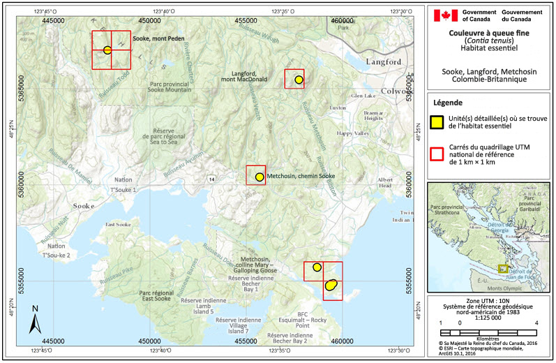 Les zones renfermant de l'habitat essentiel de la couleuvre à queue fine