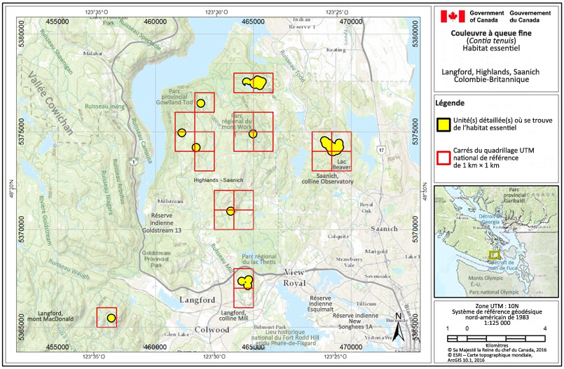 Les zones renfermant de l'habitat essentiel