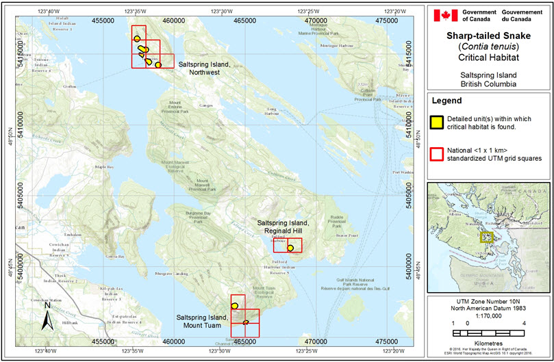 Areas containing critical habitat at Saltspring Island