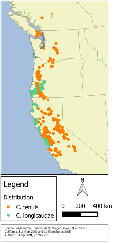 World distribution of the Sharp-tailed Snake