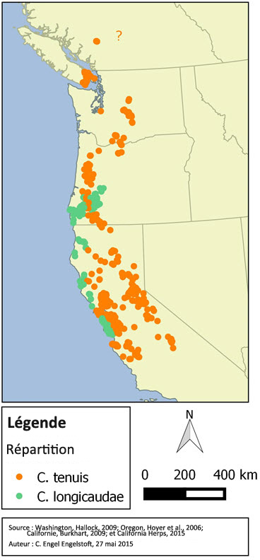 Aire de répartition mondiale de la couleuvre à queue fine