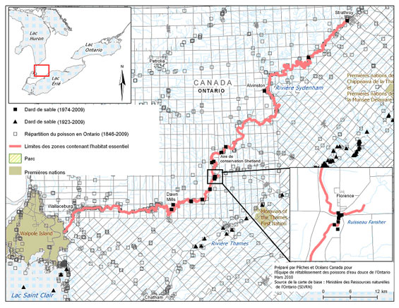 Figure 4. Secteur de la rivière Sydenham au sein duquel on trouve l'habitat essentiel du dard de sable. (Voir description longue ci-dessous.)