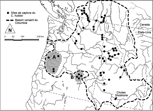Répartition mondiale du chabot du Columbia (Cottus hubbsi). Noter les populations isolées en A (affluents de la rivière Willamette) et B (bassin de la rivière Harney).