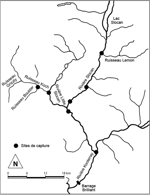 Sites de capture du Cottus hubbsi de la population de Kootenay/Slocan.
