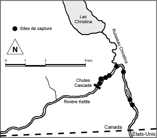 Sites de capture du Cottus hubbsi de la population de la rivière Kettle.