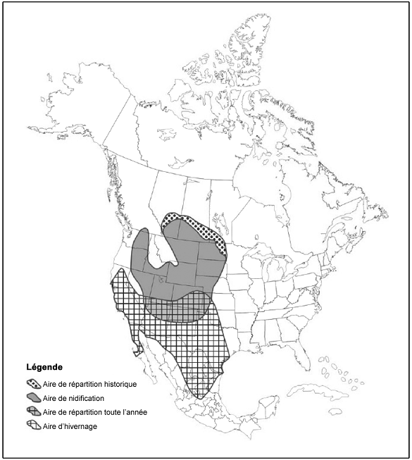 igure 1. Répartition de la Buse rouilleuse (Downey, 2006).