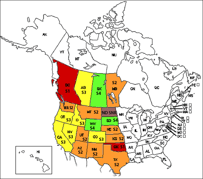Figure 7. NatureServe ranks by province/state for the Ferruginous Hawk. Red = critically imperilled (S1); Orange= imperilled (S2); Yellow = vulnerable (S3); Green = apparently secure (S4); Purple = not ranked/under review.
