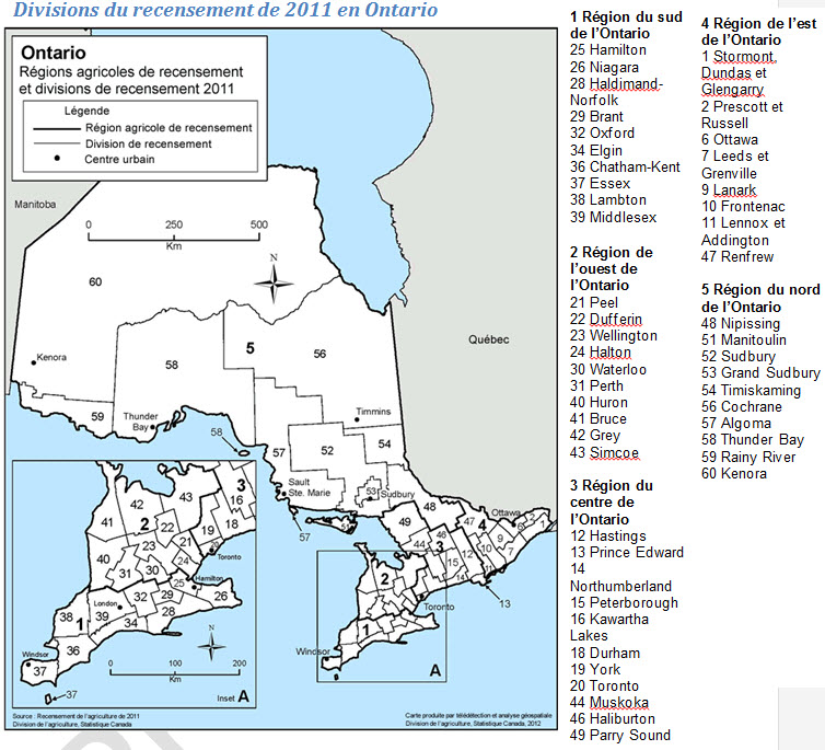 Divisions du recensement de 2011 en Ontario