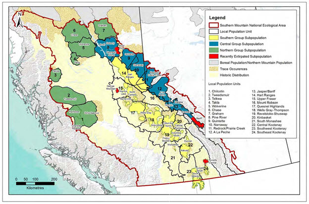 Map of groups and local populations (see long description below)