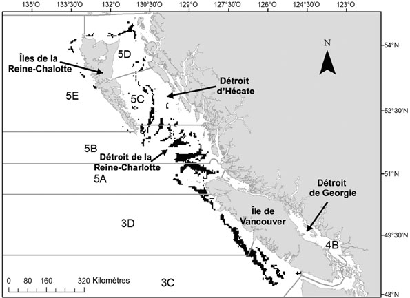 Distribution spatiale des prises du sébaste canari en Colombie-Britannique enregistrées dans les journaux d’observation des pêcheries commerciales au chalut (1996-2004).