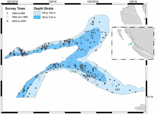 Figure 23: Goose Island Gully depth strata and tow locations within those strata, from historic POP surveys.