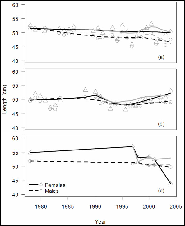 Figure 27. Trends in mean fork length for canary rockfish from (a) Area 3C+3D, (b) Area 5A+5B, and (c) Area 5E.