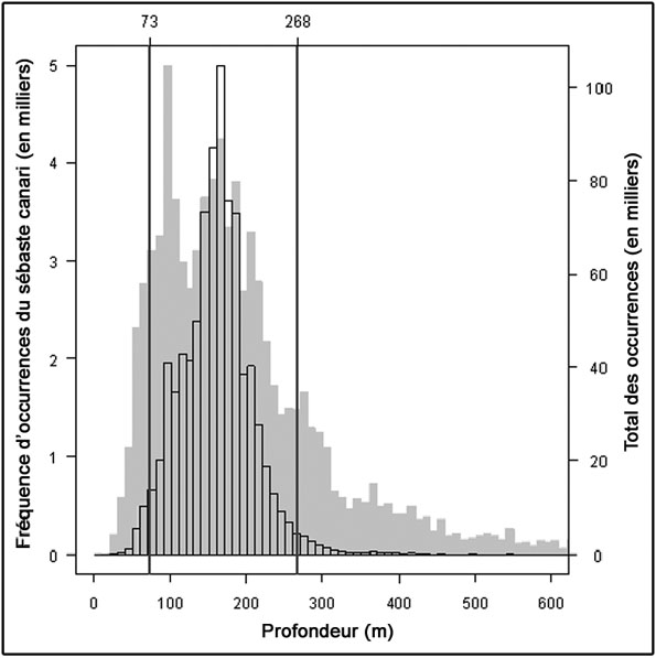 Figure 3. Histogramme de la fréquence d’occurrence du sébaste canari par trait de chalut commercial en fonction de la profondeur de capture, d’après les journaux d’observation des pêcheries commerciales au chalut de la Colombie-Britannique (chaluts de fond seulement).