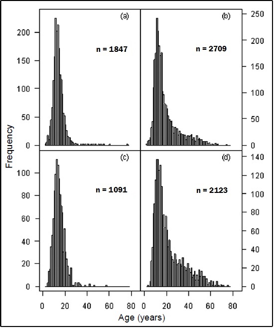 Figure 5. Histogram of canary rockfish ages (cutoff at 80y): (a) Females from Area 3C+3D; (b) Males from Area 3C+3D; (c) Females from Area 5A+5B; (d) Males from Area 5A+5B.