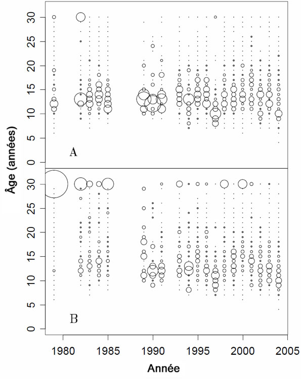 Figure 6. Composition par âge des individus femelles du sébaste canari (A) et mâles (B) dans les zones 3C + 3D, par année. Le rayon de chaque cercle reflète la composition par âge relativement à l’échantillon total pour chaque sexe; âge 30 = groupe des 30 ans et plus.