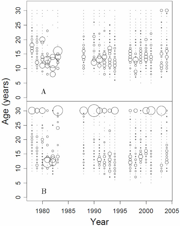 Figure 7. Proportions-at-age by year for (A) female and (B) male canary rockfish from Area 5A+5B. The radius of each circle is scaled relative to the proportion-at-age within each sex, age 30 = 30+ group. Commercial and survey samples combined (see Table 9).