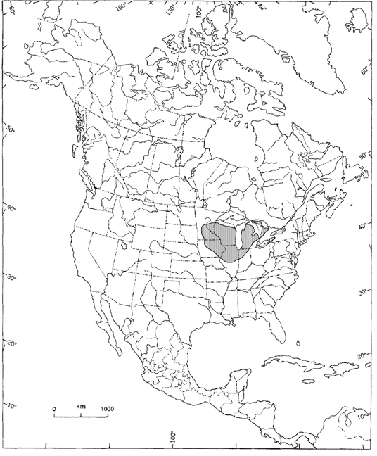 Figure 1. Répartition mondiale du Cirsium hillii (mise à jour d’après White et Maher,&nbsp;1983)