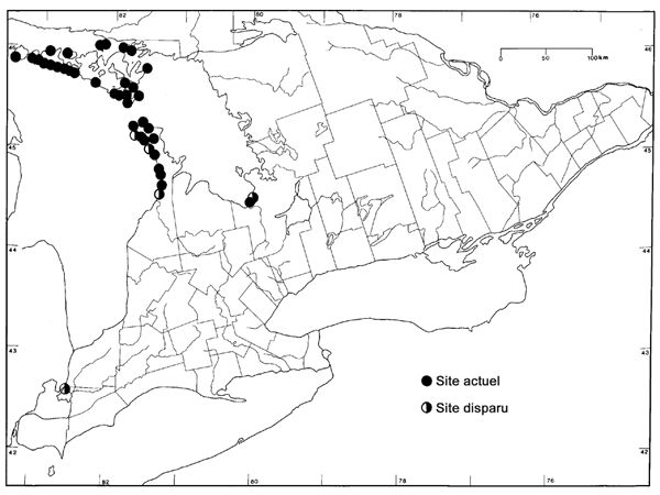 Figure 2. Répartition du Cirsium hillii au Canada
