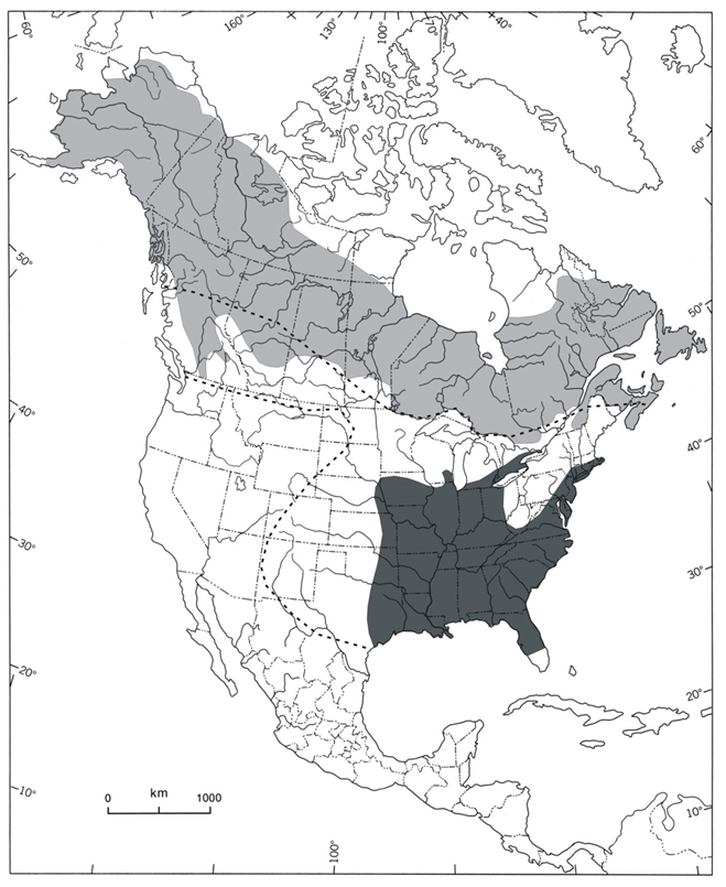 North  American distribution of the Rusty Blackbird in the breeding (light grey) and  wintering (dark grey) seasons