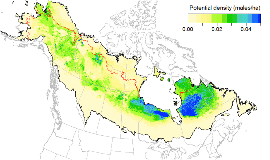 Density model within the breeding range of  Rusty Blackbirds in the boreal forest