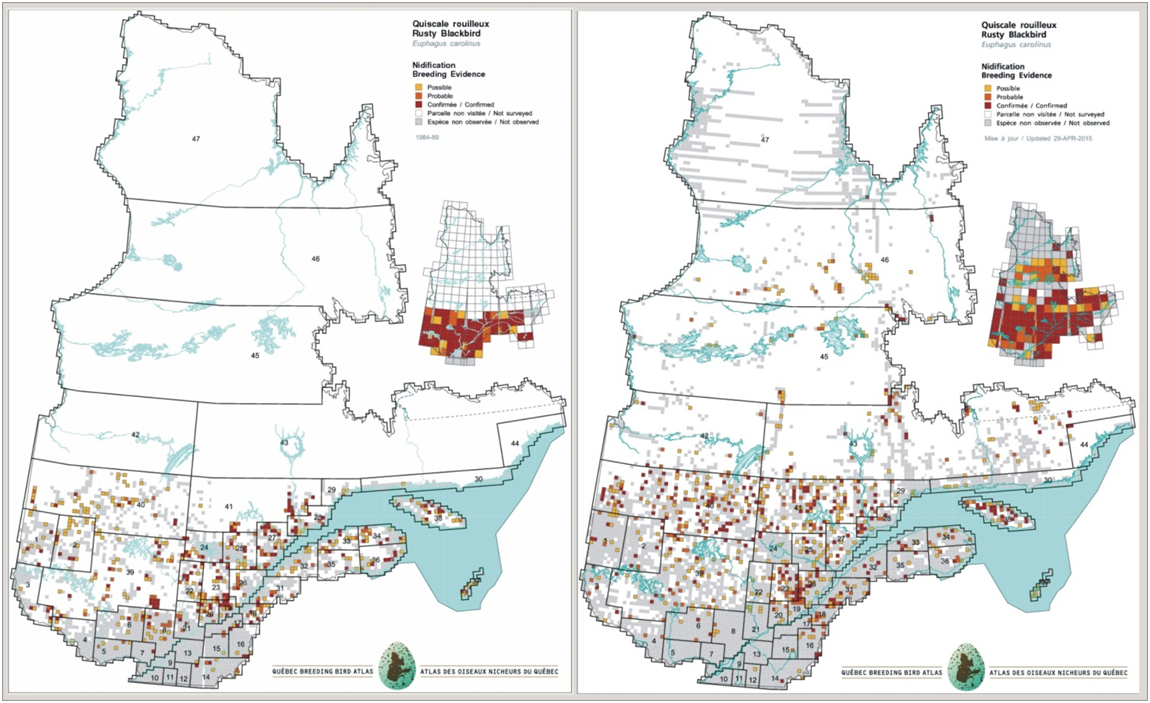 Comparison  of the range of the Rusty Blackbird in Quebec
