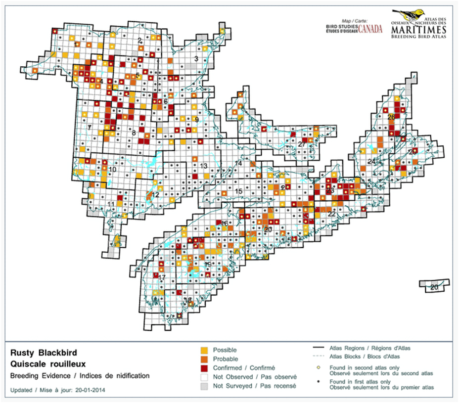 Comparison of the range of the Rusty Blackbird in the Maritimes  between the first and second breeding bird atlas  periods.