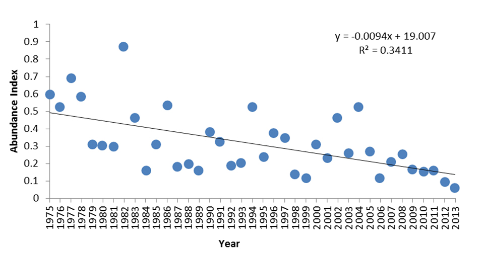 Annual abundance index of the Rusty Blackbird in Quebec between 1975  and 2013