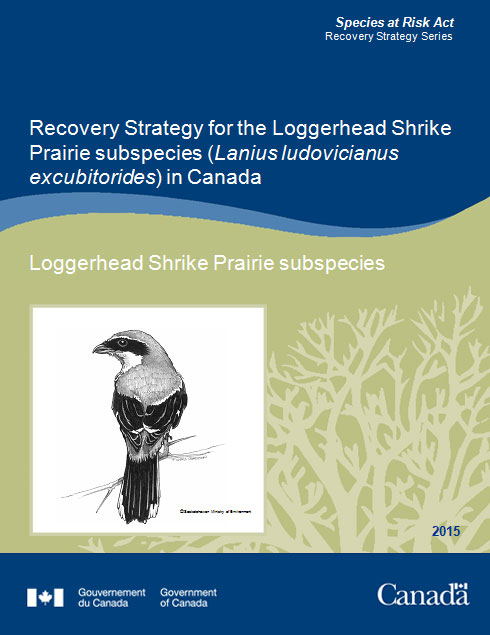 Recovery Strategy for Loggerhead Shrike