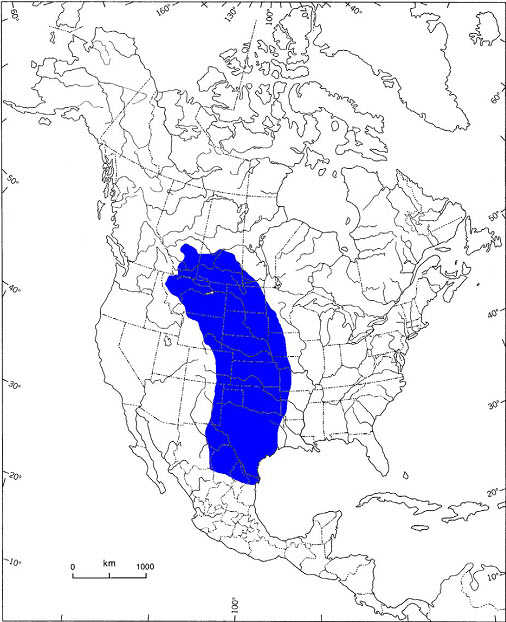 Approximate  range of the Prairie Loggerhead Shrikein North America