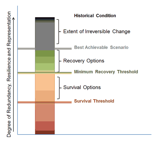 Image of recovery and survival chart