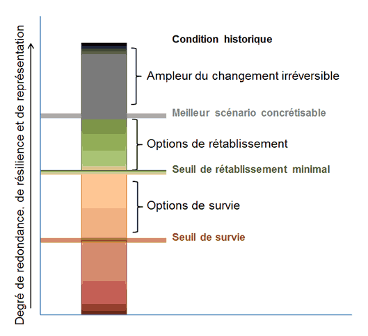 Graphique du rétablissement et de la survie