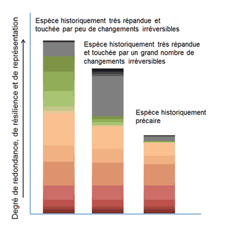 Graphique de la plage de variation