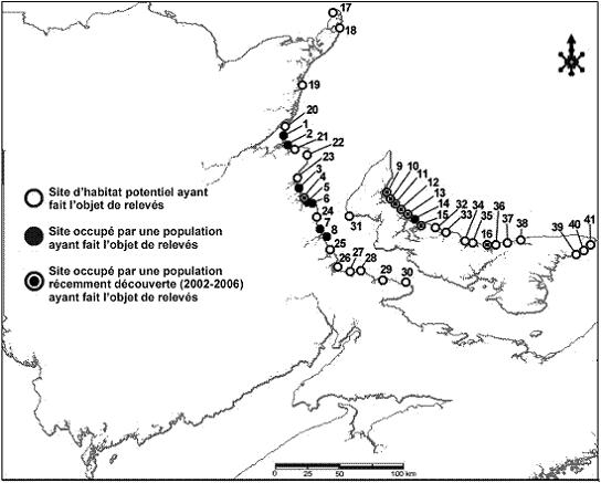 Sites abritant les populations canadiennes du Lechea maritima et sites potentiels non occupés ayant fait l’objet de relevés dans le cadre de travaux de terrain de 2003 à 2006 pour le Centre de données sur la conservation du Canada atlantique et pour l’Éco-centre Irving.