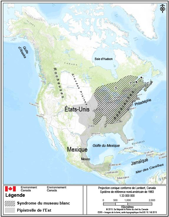 Approximate distribution of Tri-colored Bat and white-nose syndrome
