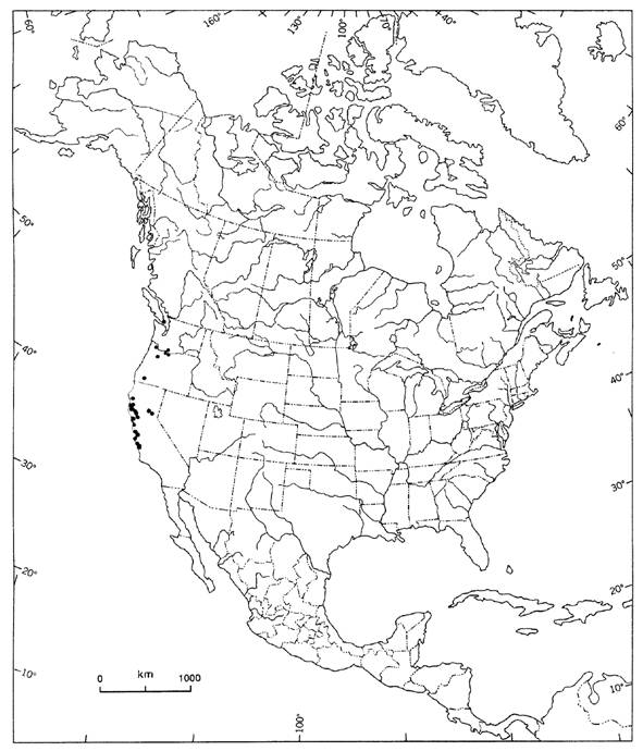 Figure 2. Distribution of Juncus kelloggii in North America.