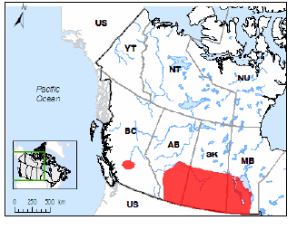 Distribution of the Sprague's Pipit in Canada (See long description below)