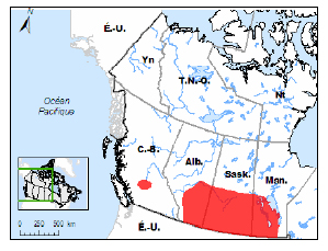 Distribution du Pipit de Sprague au Canada (Voir description longue ci-dessous.)
