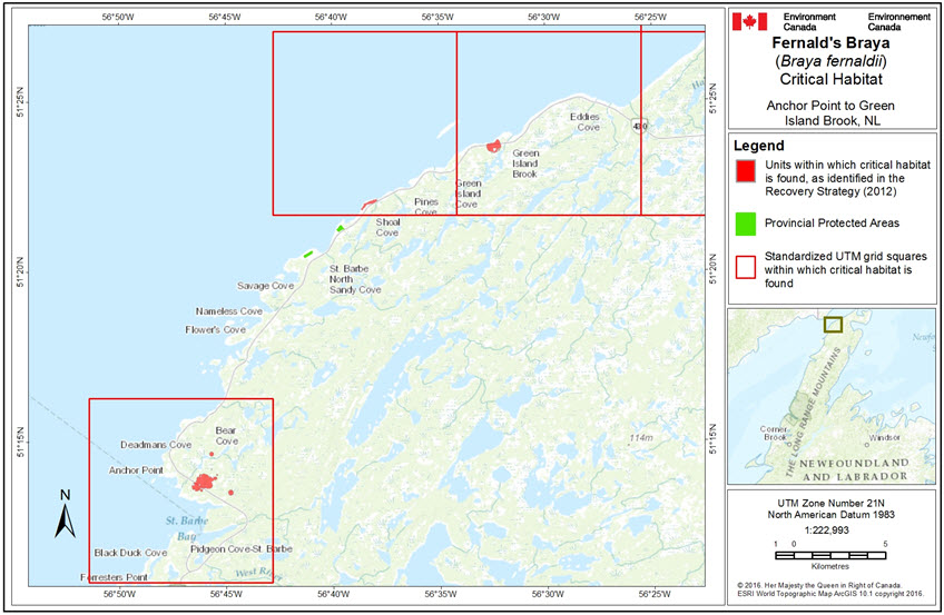 Critical habitat from Anchor Point