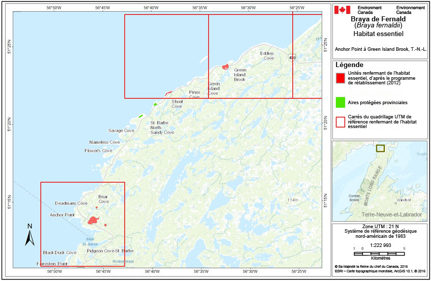 Habitat essentiel depuis Anchor Point jusqu'à Green Island Brook