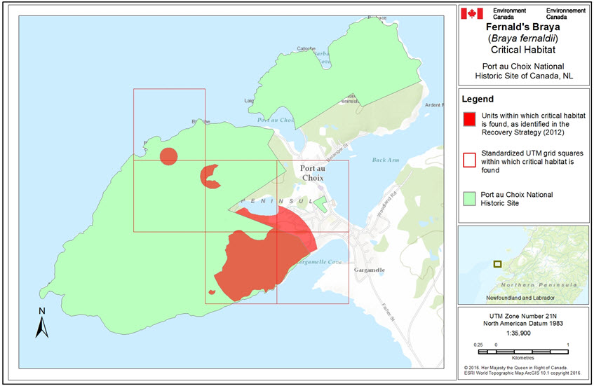 Critical habitat at Port au Choix National Historic Site