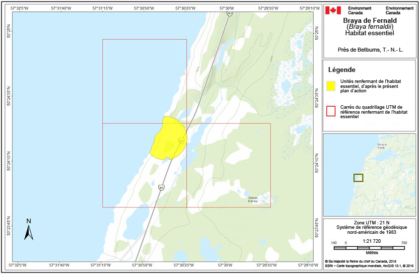 Aperçu de l'habitat  essentiel à  Terre-Neuve-et-Labrador