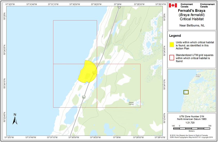 Critical habitat near Bellburns