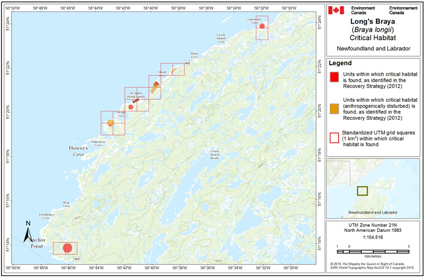 Critical habitat in Newfoundland and Labrador