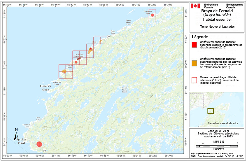 Habitat  essentiel depuis Mistaken Cove jusqu'à Pines Cove