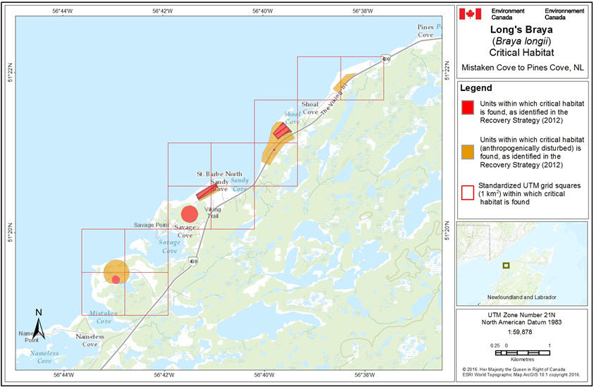 Critical habitat from Mistaken Cove to Pines Cove