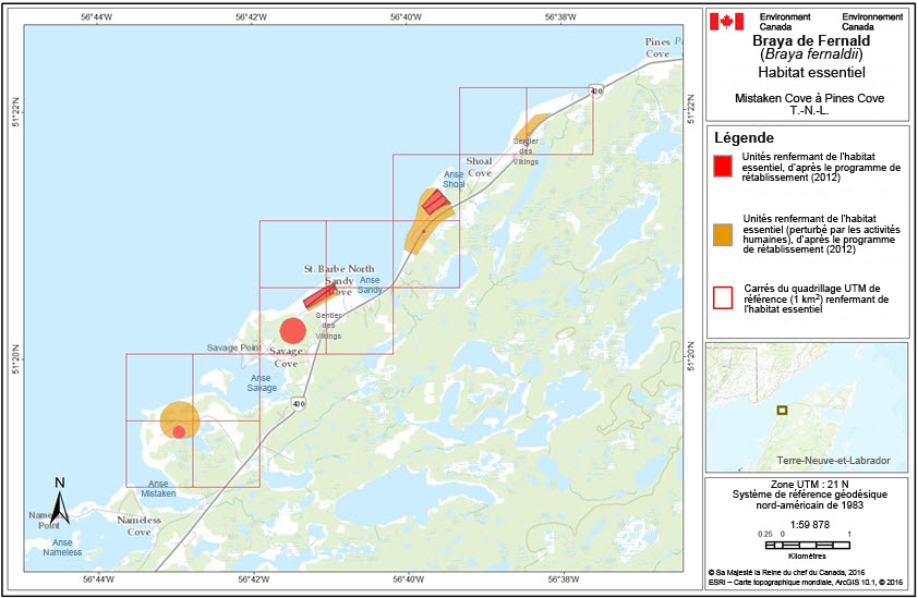 Habitat  essentiel  Près de l’anse Shoal