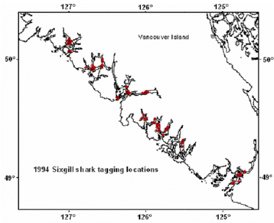 Figure 7.  Tagging locations (red circles) of bluntnose sixgill shark along the west coast of Vancouver Islandduring a 1994 tagging survey. (See long description below)