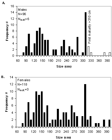 Figure 8. Length frequency distribution of male (top panel) and female (bottom panel) bluntnose sixgill sharks caught on a research survey along the west coast of Vancouver Islandin 1994. Source: DFO Unpublished data.