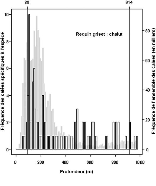 Figure 4. Répartition en profondeur des traits de chaluts commerciaux pour l’ensemble de la côte entre 1996 et 2005 et pour lesquels le requin griset a été enregistré (barres vides) comparativement à l’effort total de chalutage selon la profondeur (barres grises pleines) (Voir description longue ci-dessous.)